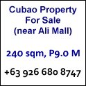 Cubao Property for Sale